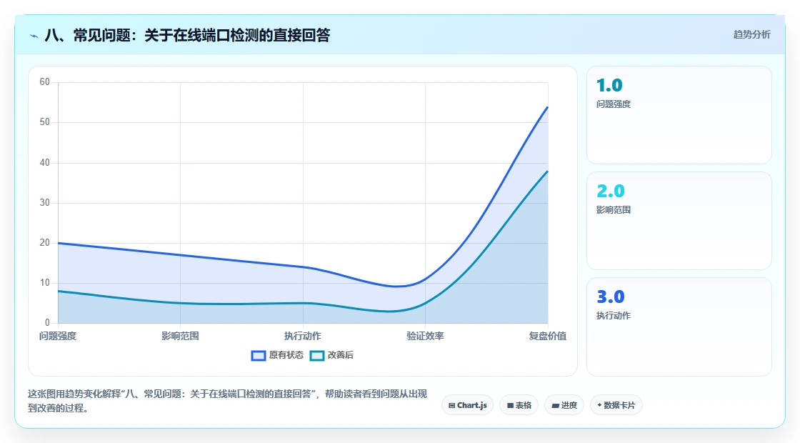 八、常见问题：关于在线端口检测的直接回答